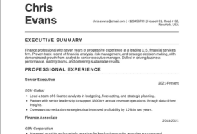 Executive template preview