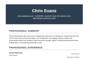 Modern Professional template preview