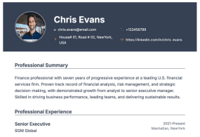Professional With Photo template preview
